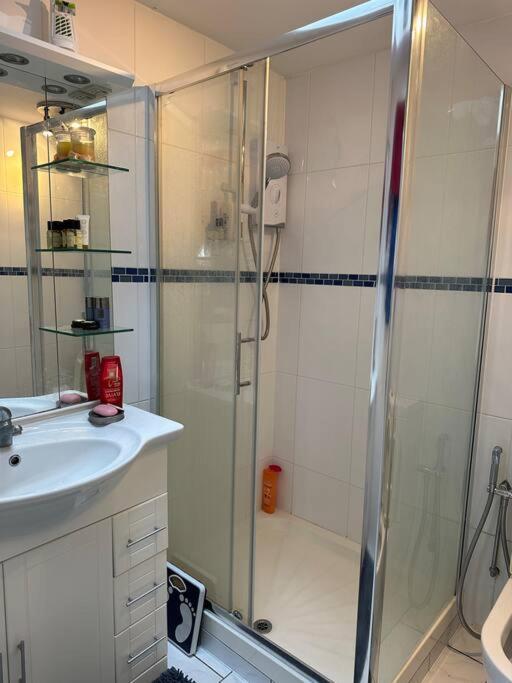 Amazing Gantshill Studio Annexe & Free Parking Redbridge Eksteriør billede